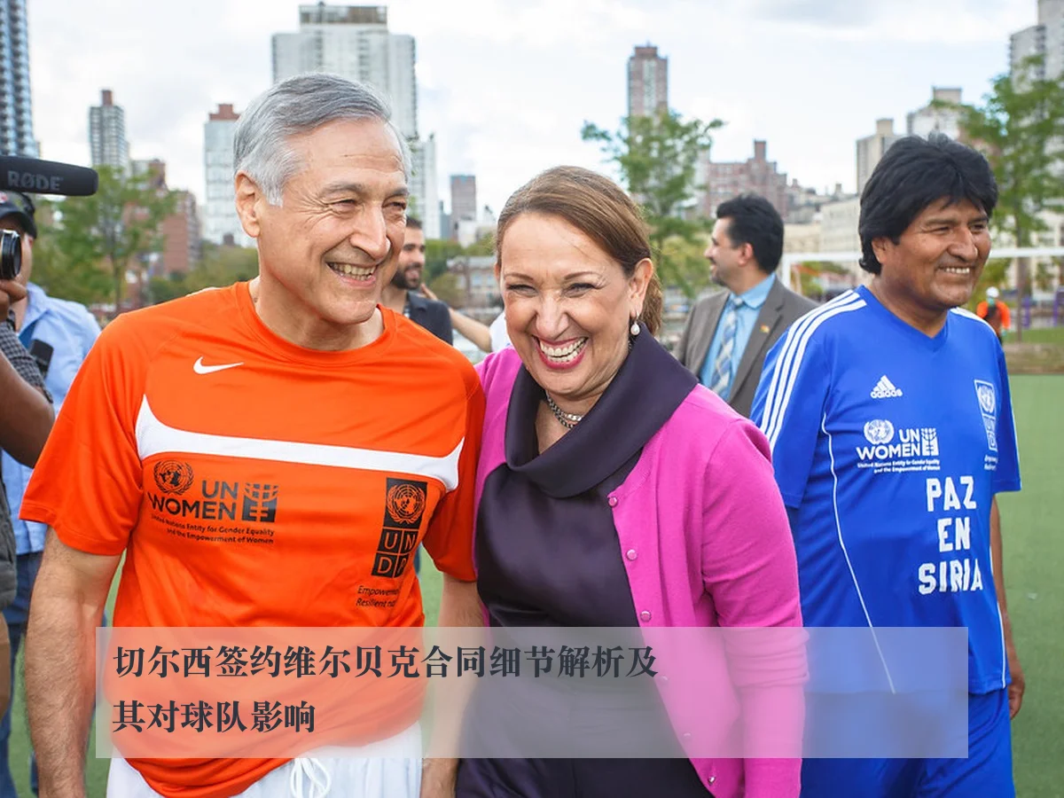 切尔西签约维尔贝克合同细节解析及其对球队影响
